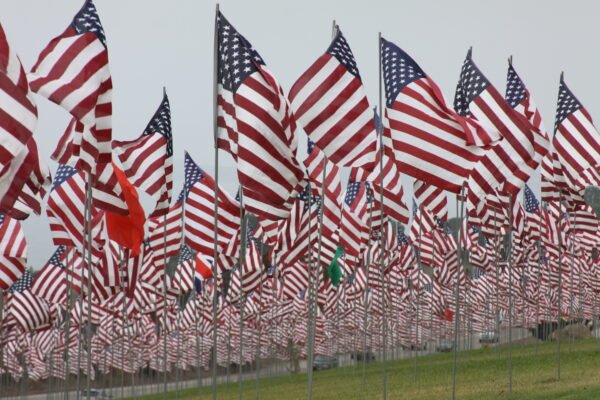 USA Flags