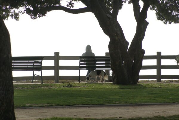 lady and her dog