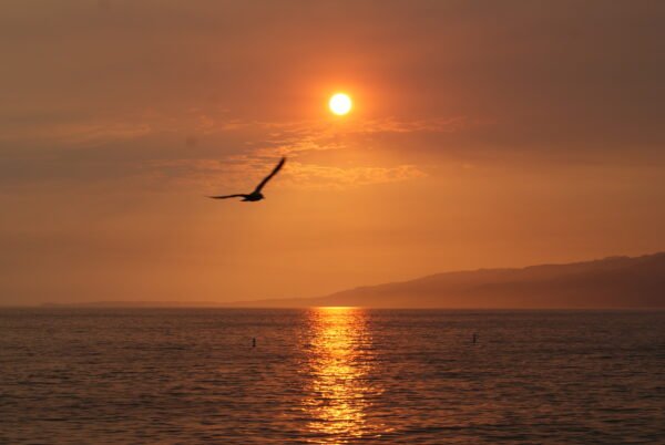 Serene sunset