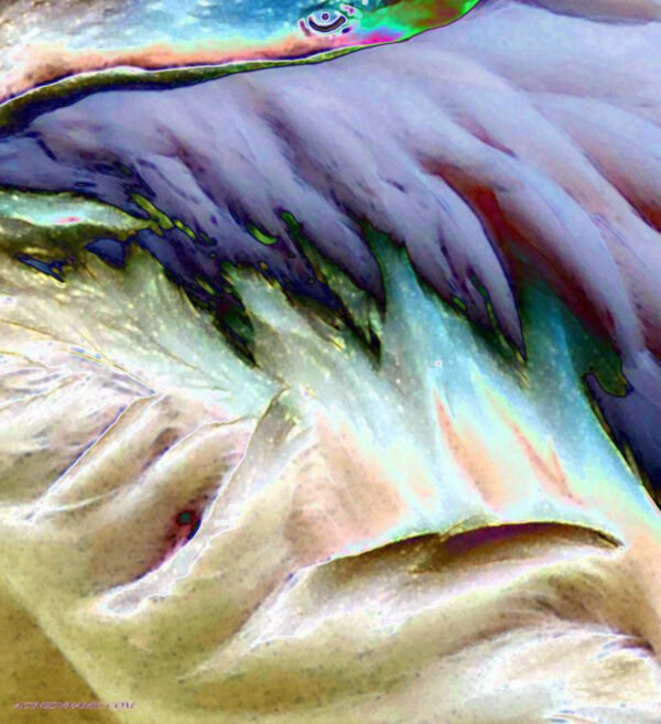 Rainbow feathers